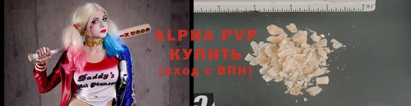 стаф Баксан